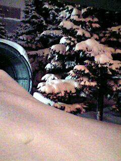 ���ꂼ�{���̎p�B