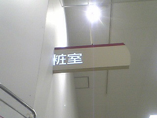 �s�v�c�Ȍ��i�B