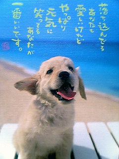 �������B