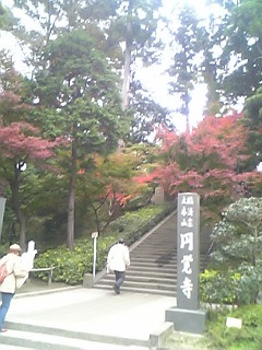 ���q�U��J�n�B