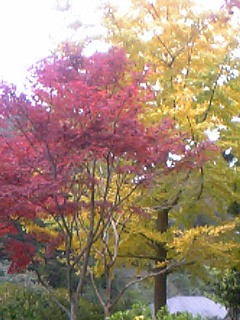 �g�t�����B